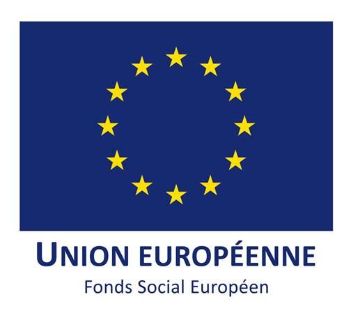 UE - Fonds social européen
