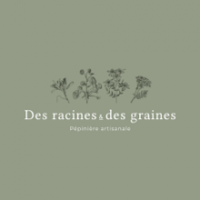 Des_racines_et_des_graines_logo